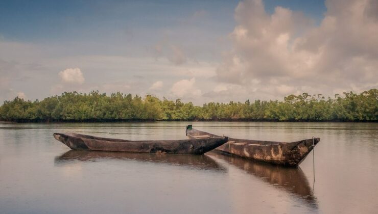 Gambiya Nehri’nde Nehir Safari Deneyimi